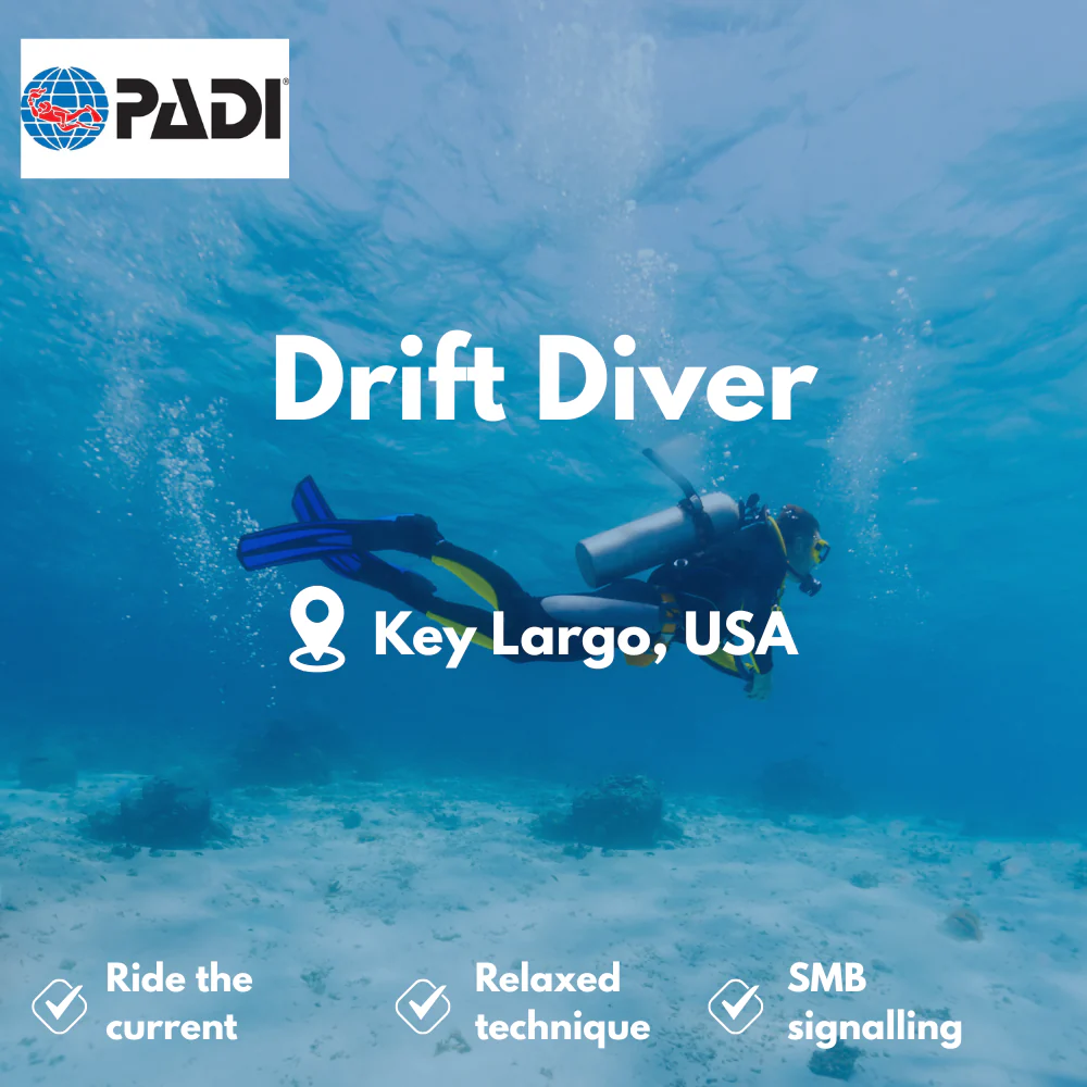 PADI Drift Diver course in Key Largo