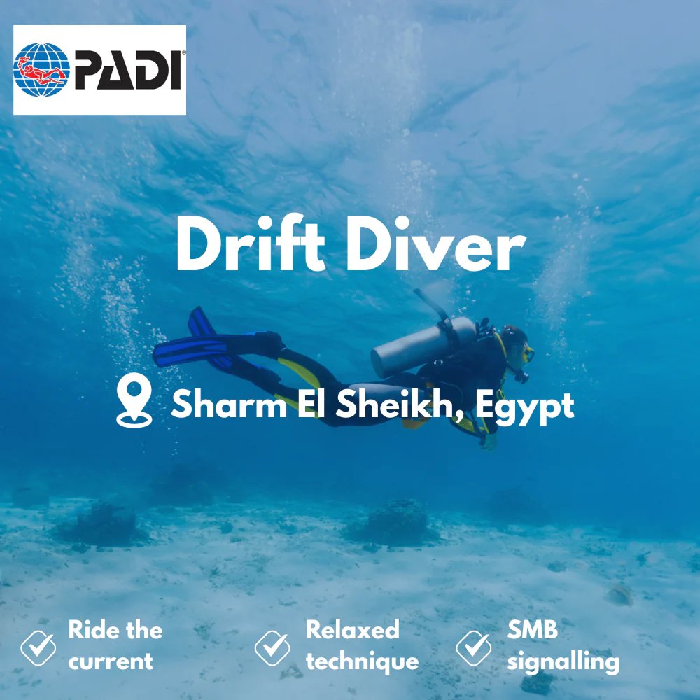 PADI Drift Diver course in Sharm El Sheikh