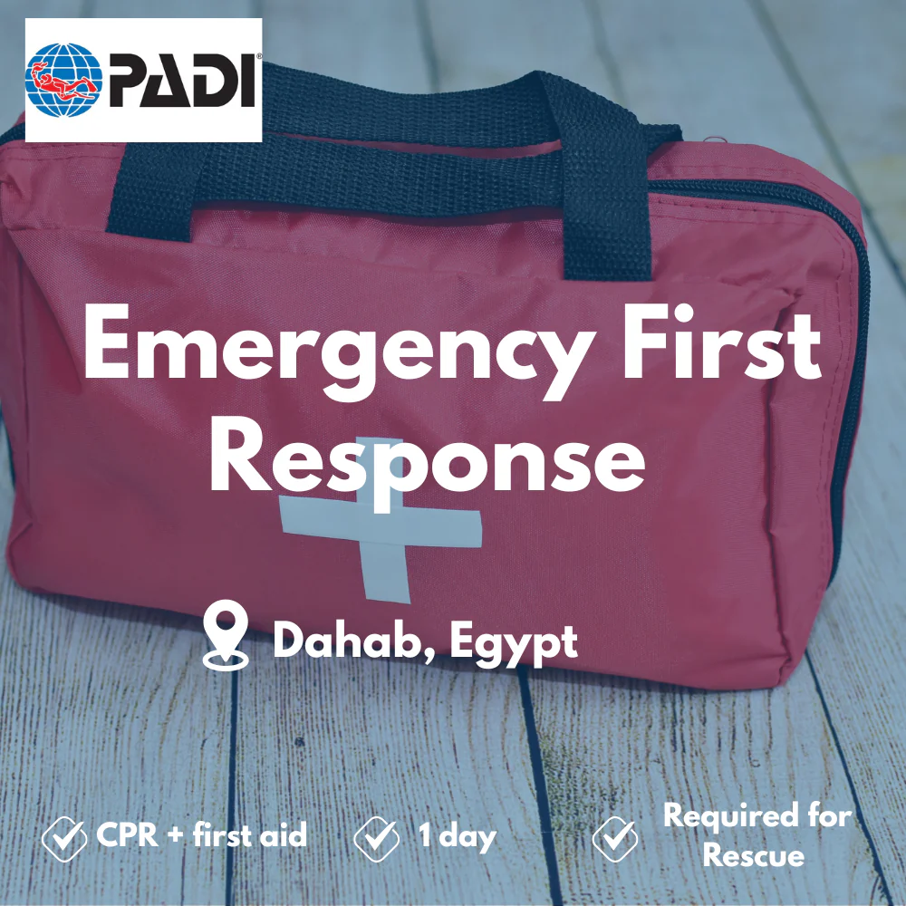 PADI Emergency First Response course in Dahab