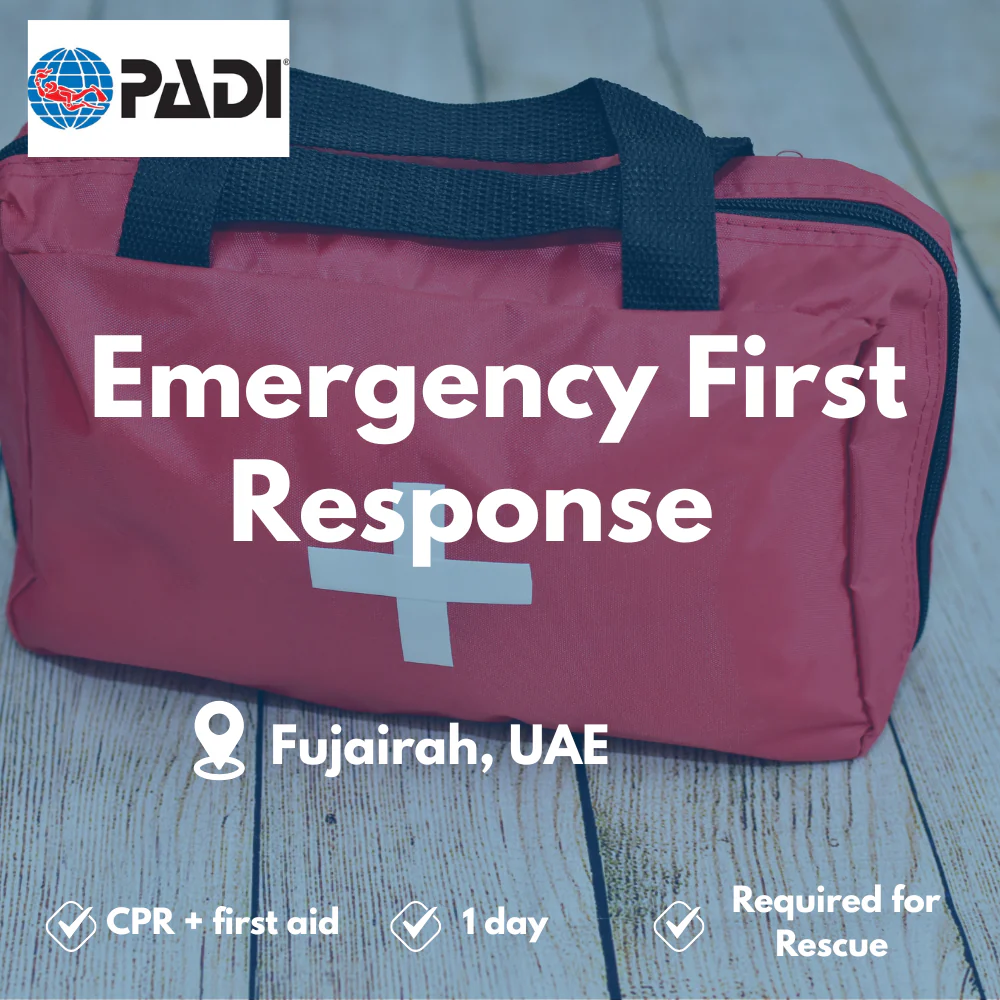 PADI Emergency First Response course in Fujairah