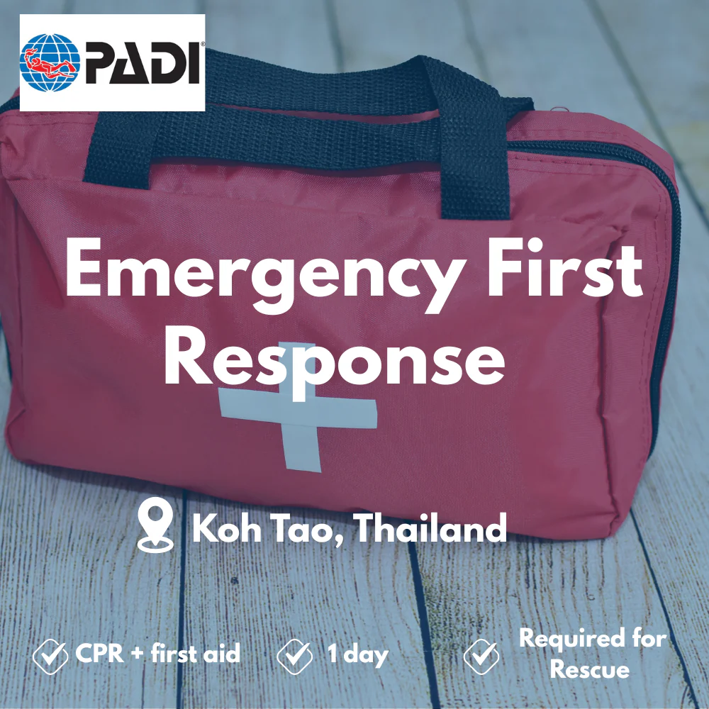 PADI Emergency First Response course in Koh Tao