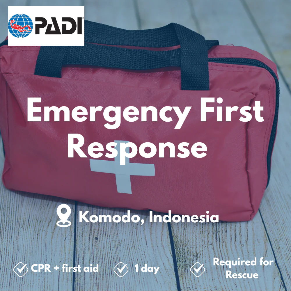 PADI Emergency First Response course in Komodo
