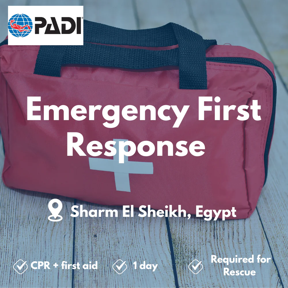 PADI Emergency First Response course in Sharm El Sheikh