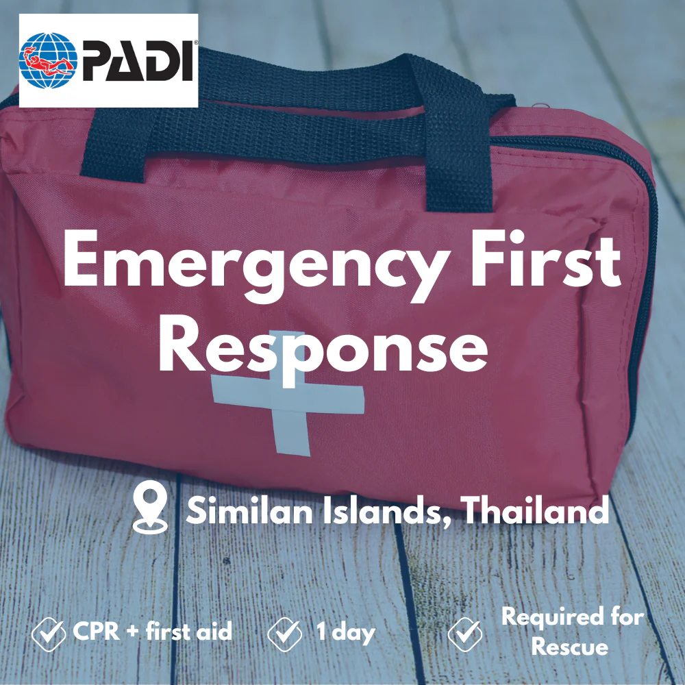 PADI Emergency First Response course in Similan Islands