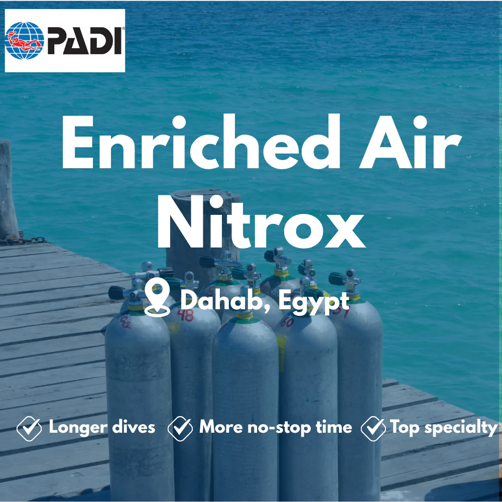 PADI Enriched Air (Nitrox) course in Dahab