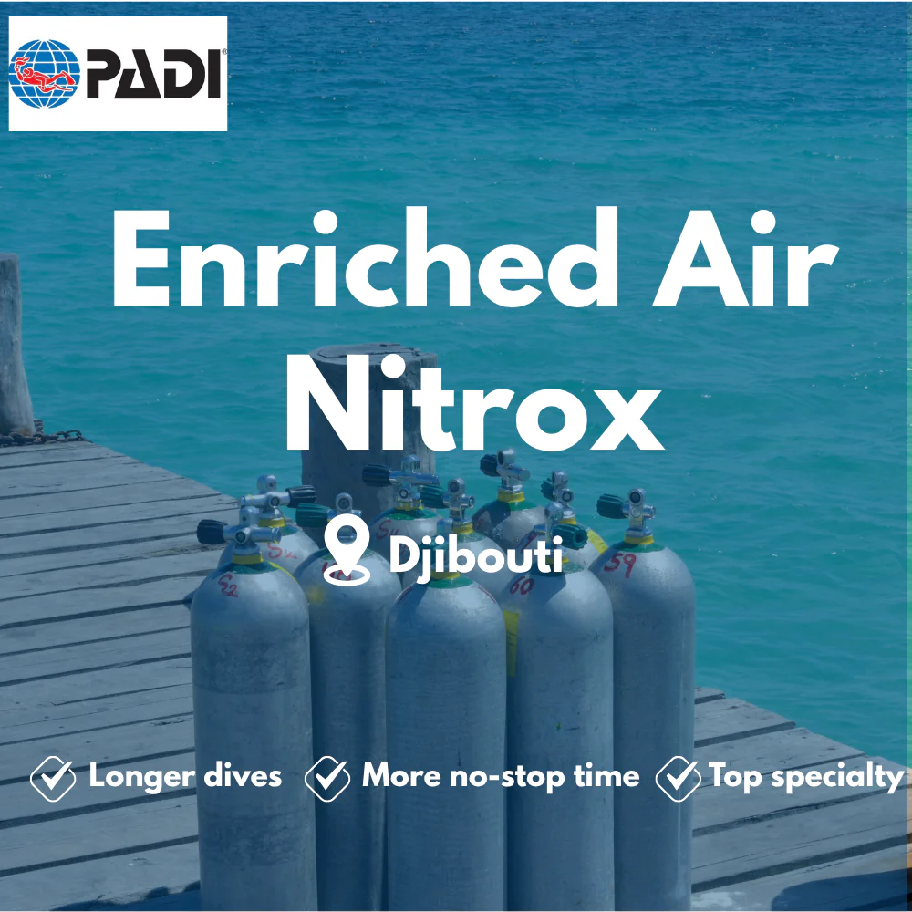 PADI Enriched Air (Nitrox) course in Djibouti