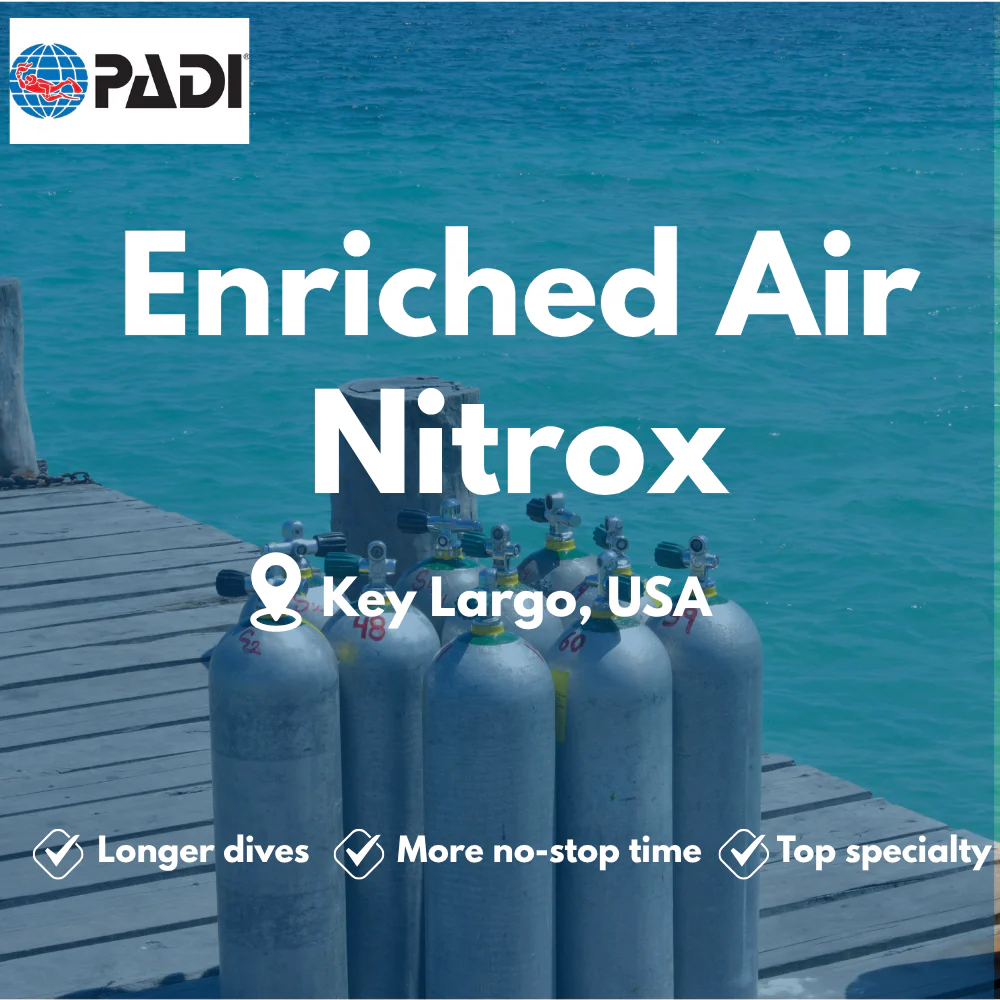 PADI Enriched Air (Nitrox) course in Key Largo