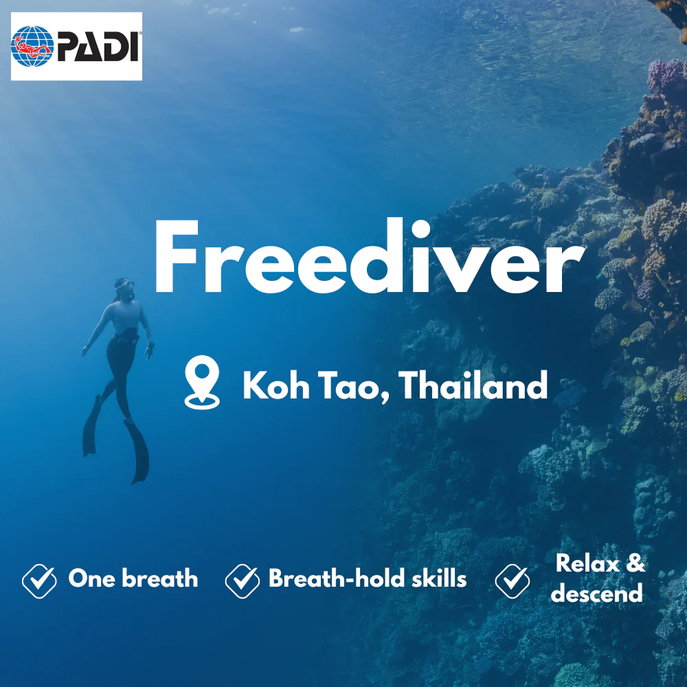 PADI Freediving course in Koh Tao