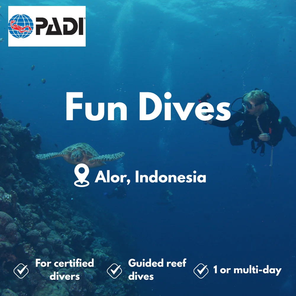 PADI Fun Dives course in Alor
