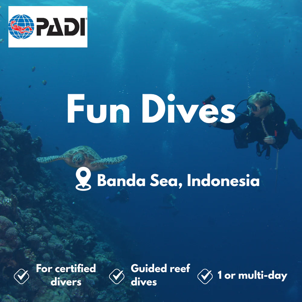 PADI Fun Dives course in Banda Sea
