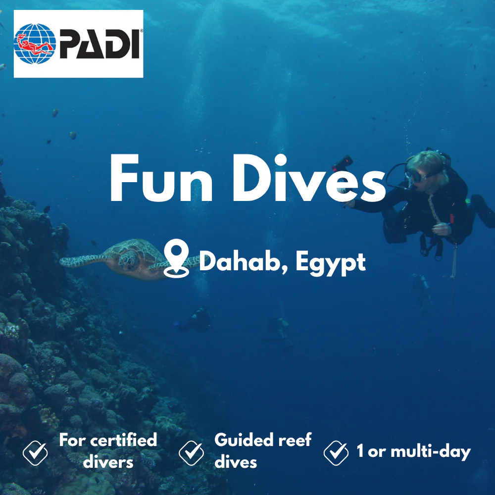 PADI Fun Dives course in Dahab