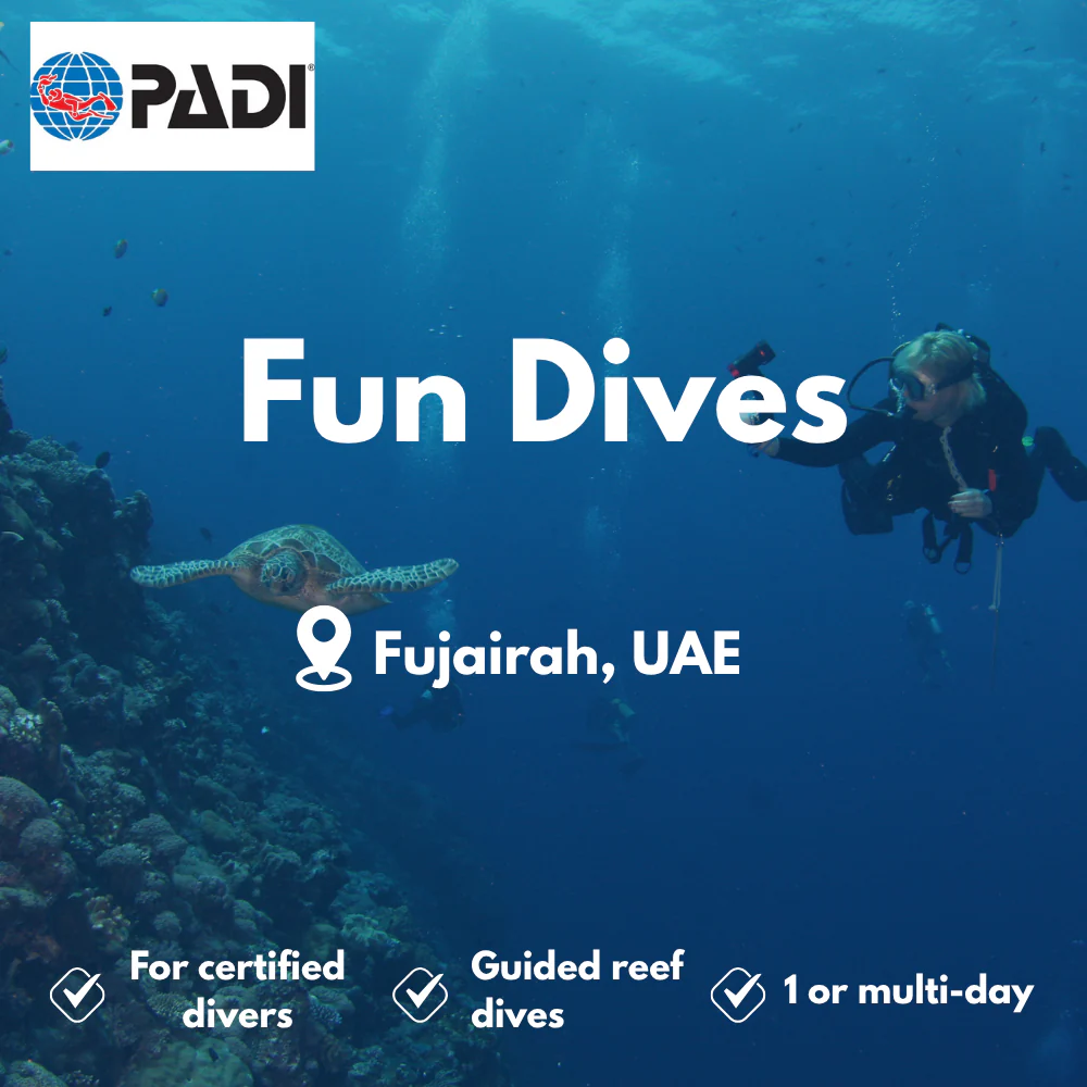 PADI Fun Dives course in Fujairah