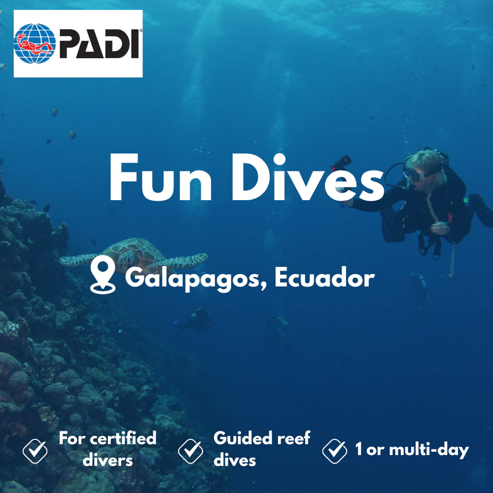 PADI Fun Dives course in Galapagos
