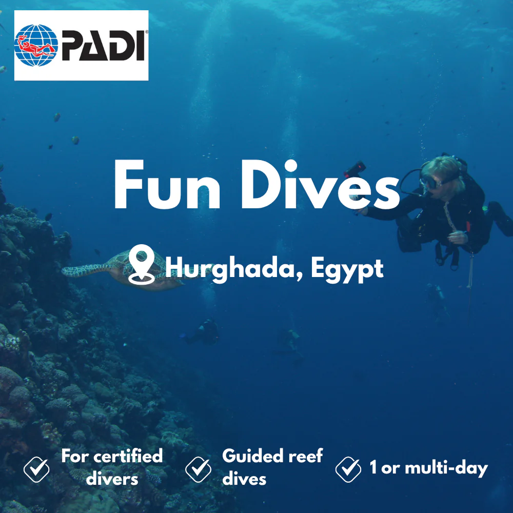 PADI Fun Dives course in Hurghada