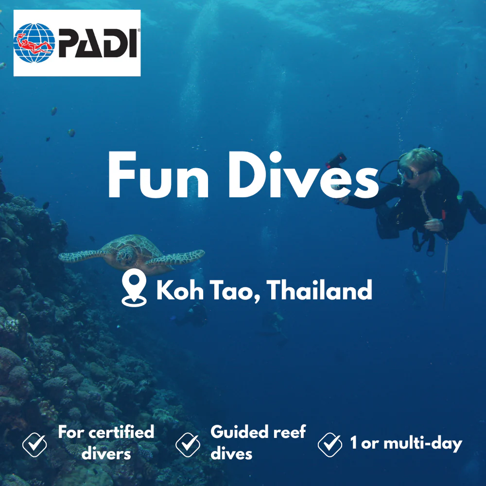 PADI Fun Dives course in Koh Tao