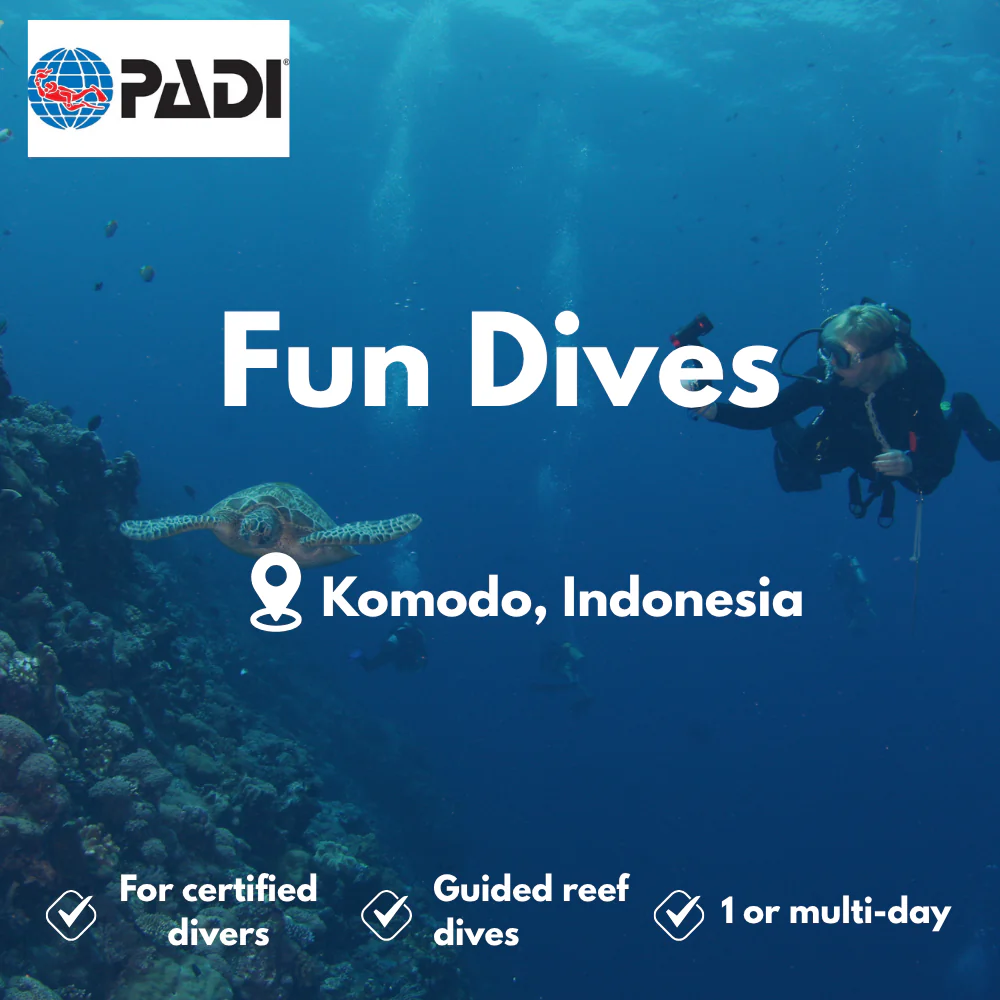 PADI Fun Dives course in Komodo