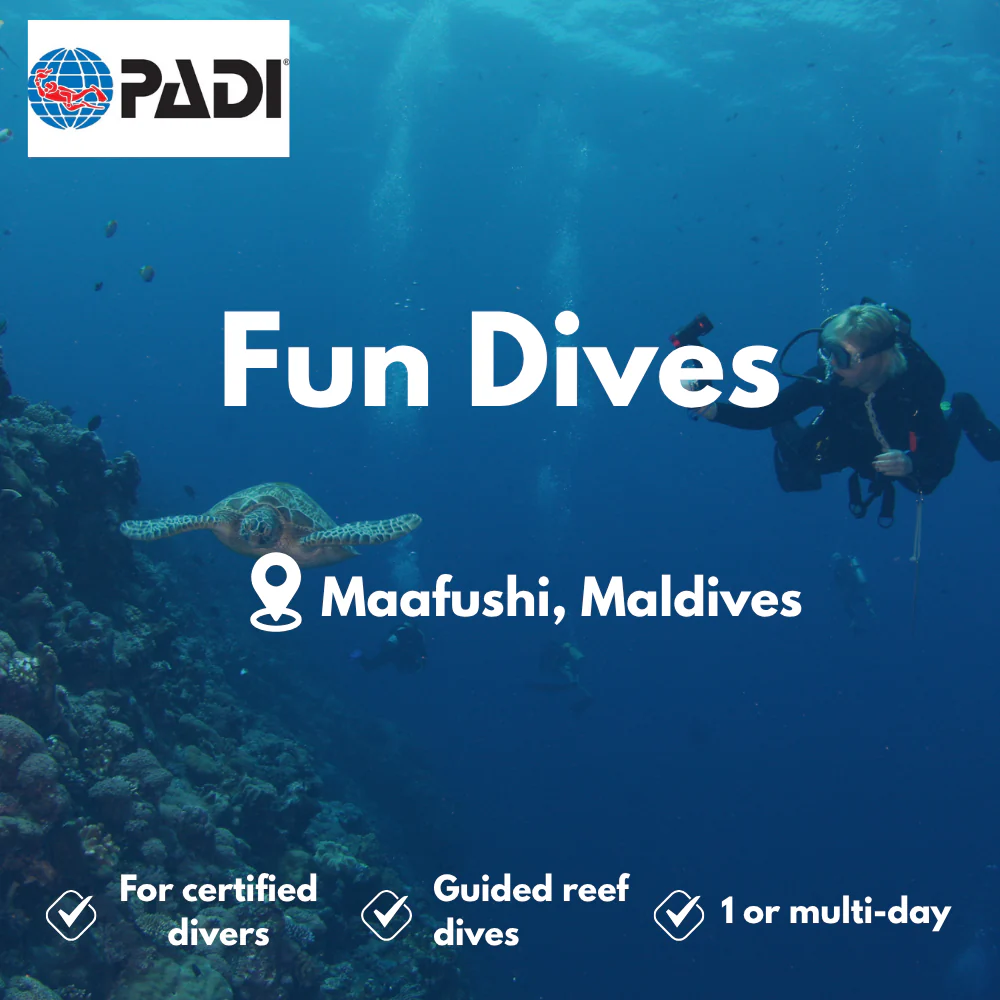 PADI Fun Dives course in Maafushi