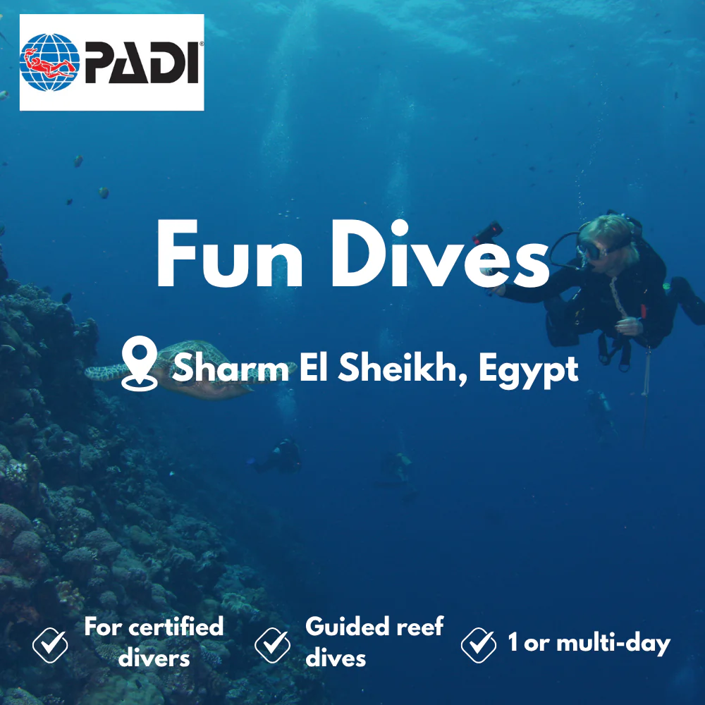 PADI Fun Dives course in Sharm El Sheikh
