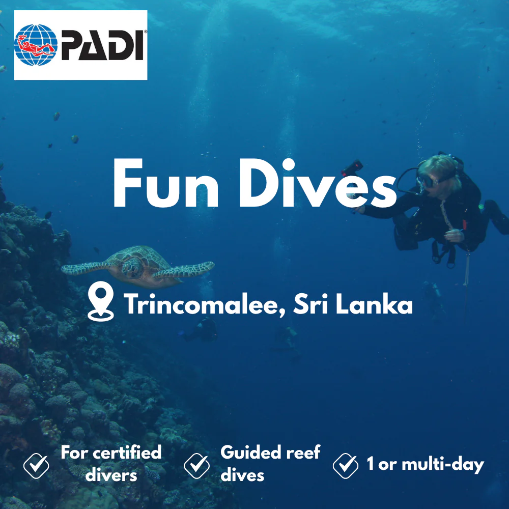 PADI Fun Dives course in Trincomalee