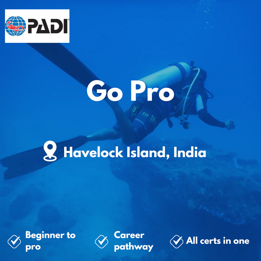 PADI Go Pro / Zero to Hero course in Havelock Island
