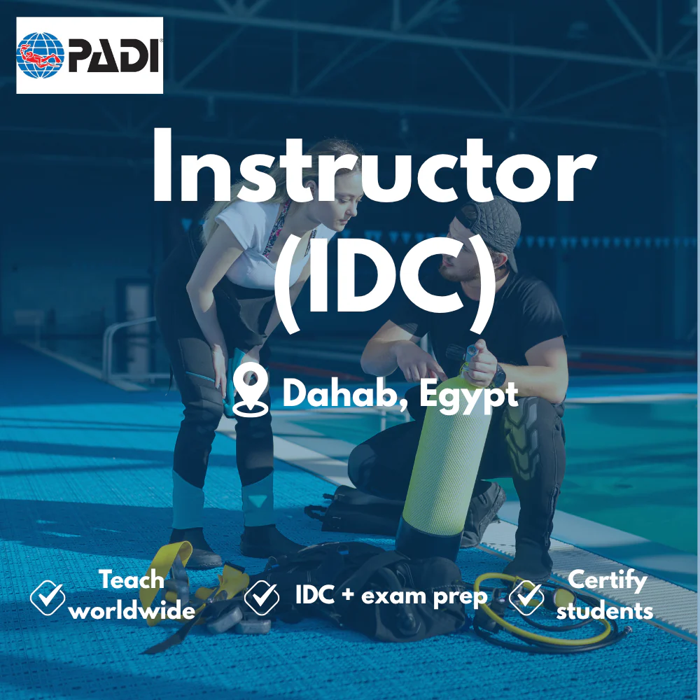 PADI Instructor / IDC course in Dahab