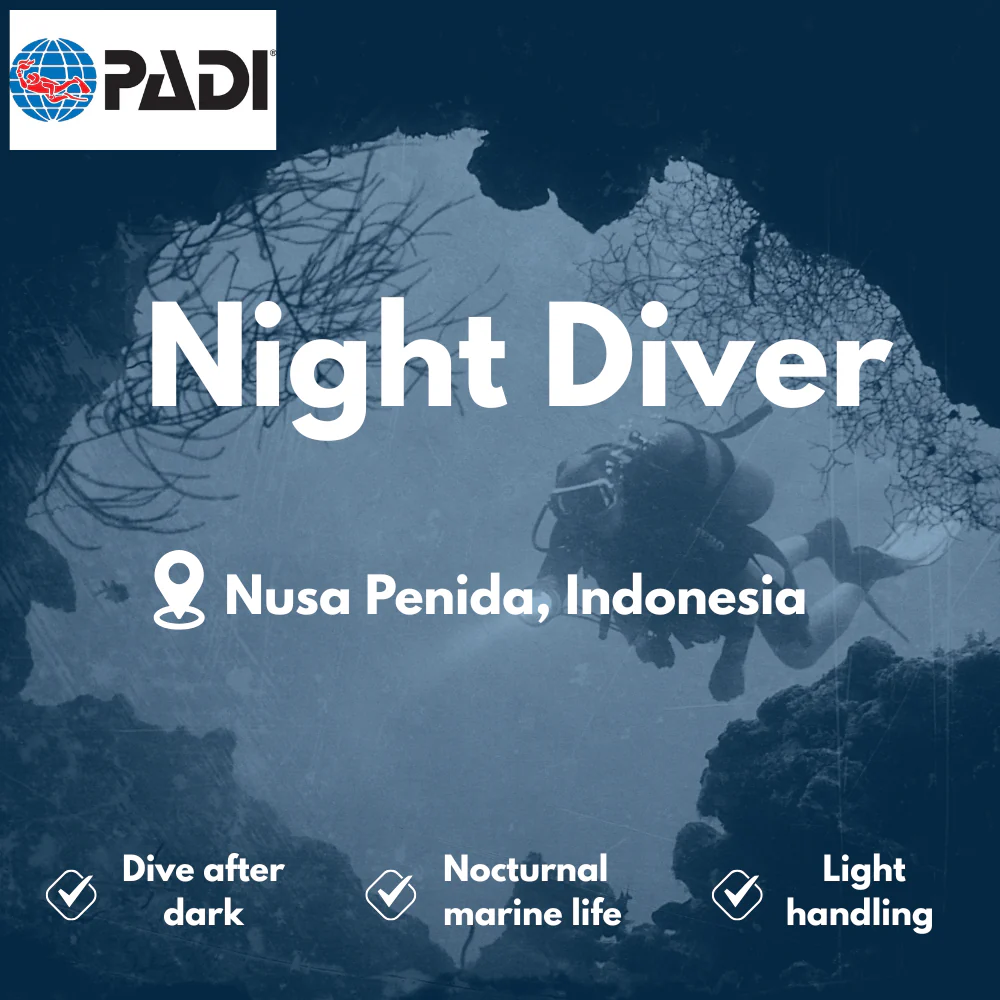 PADI Night Diver course in Nusa Penida
