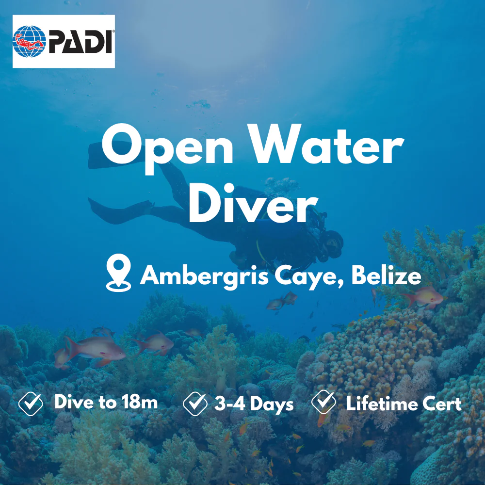 PADI Open Water Diver course in Ambergris Caye