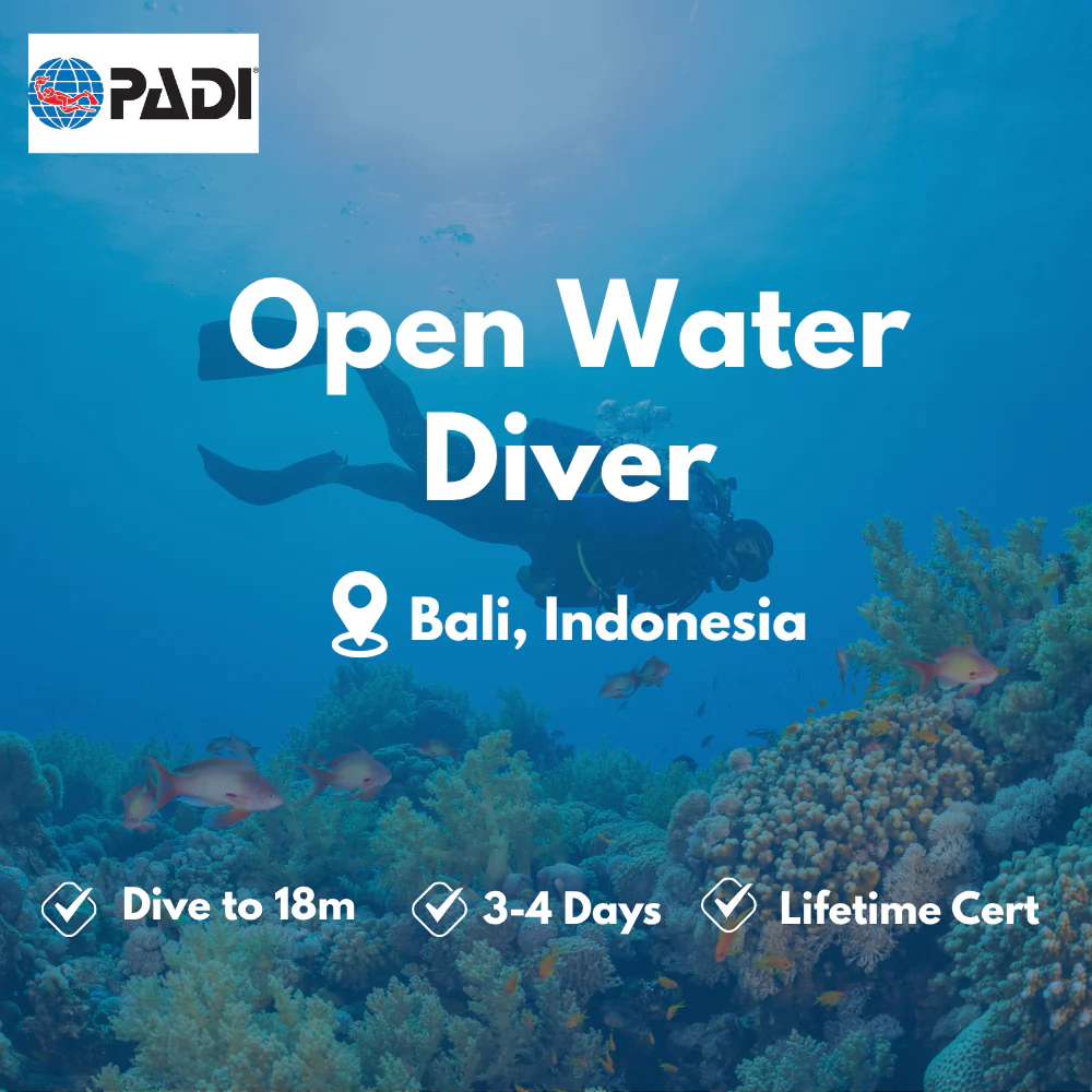 PADI Open Water Diver course in Bali