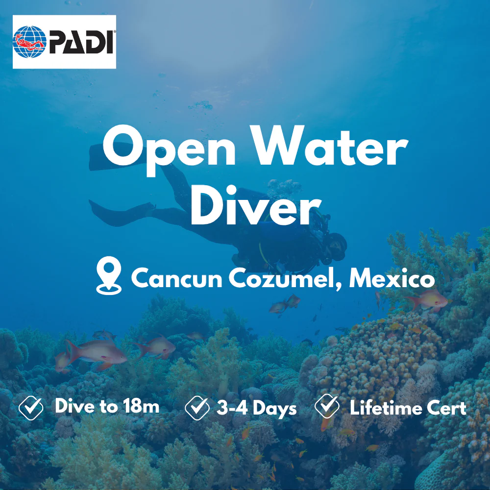 PADI Open Water Diver course in Cancun Cozumel