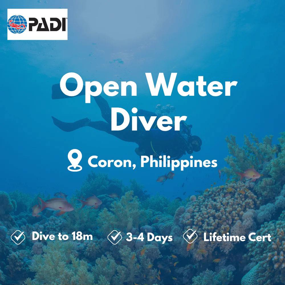 PADI Open Water Diver course in Coron