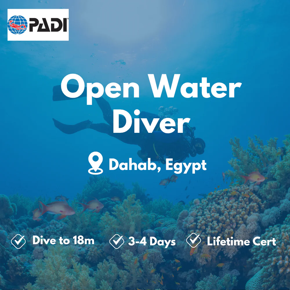 PADI Open Water Diver course in Dahab