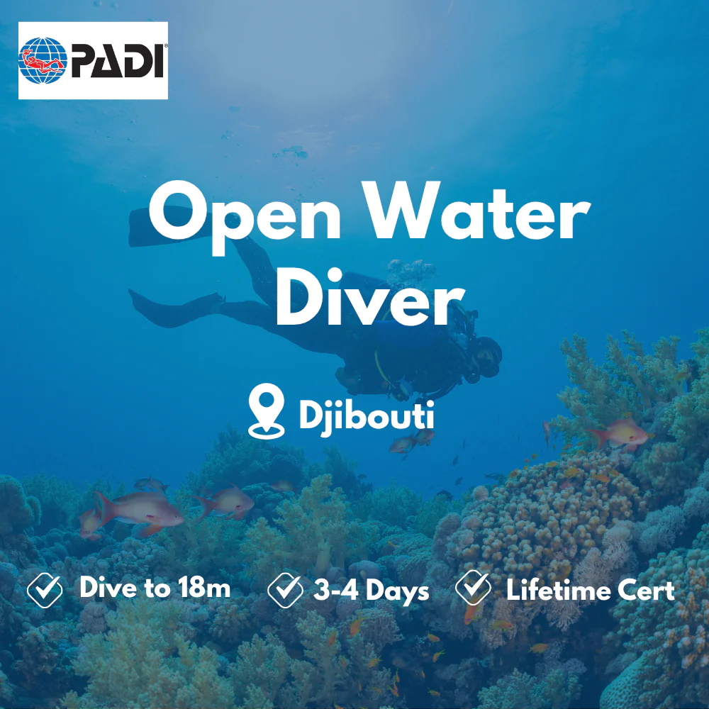 PADI Open Water Diver course in Djibouti