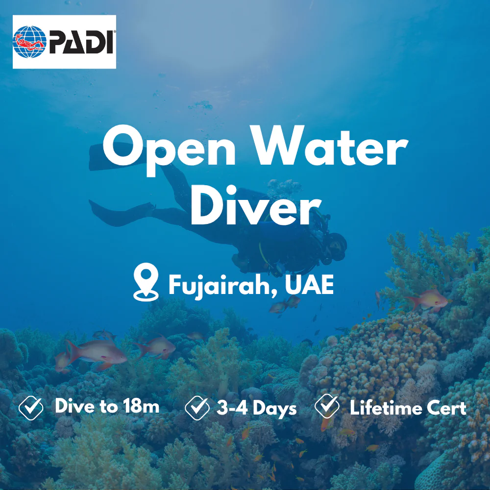 PADI Open Water Diver course in Fujairah