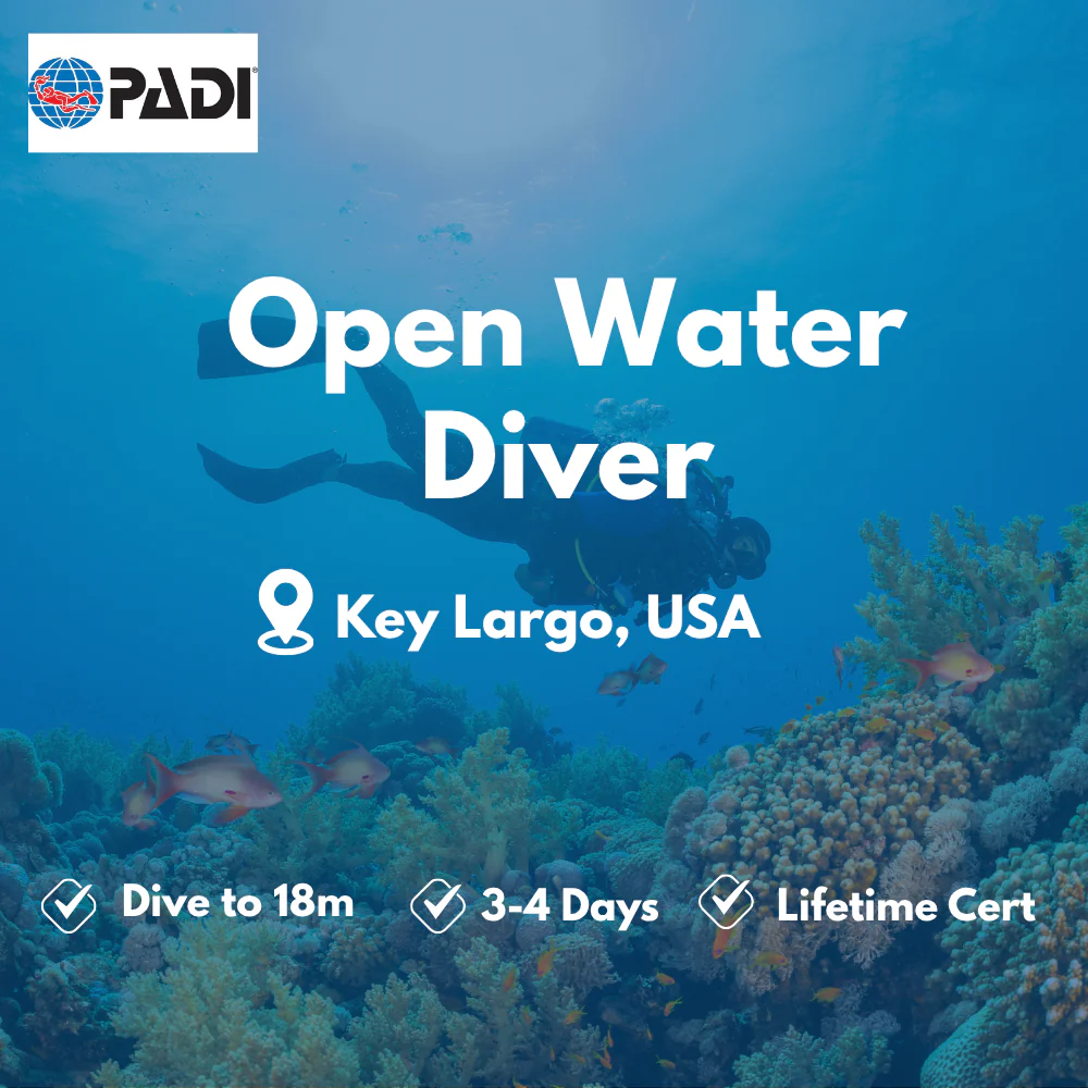 PADI Open Water Diver course in Key Largo
