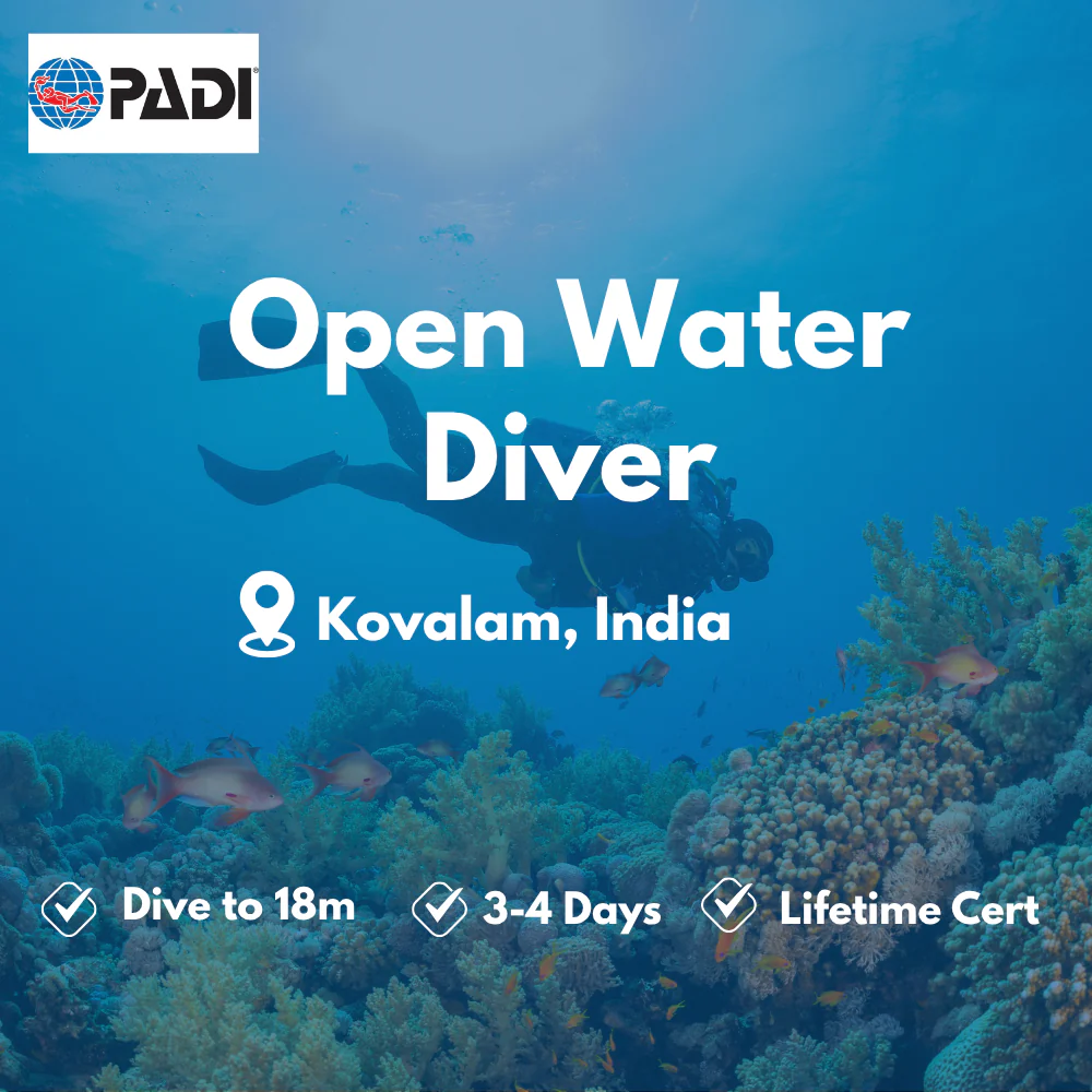 PADI Open Water Diver course in Kovalam