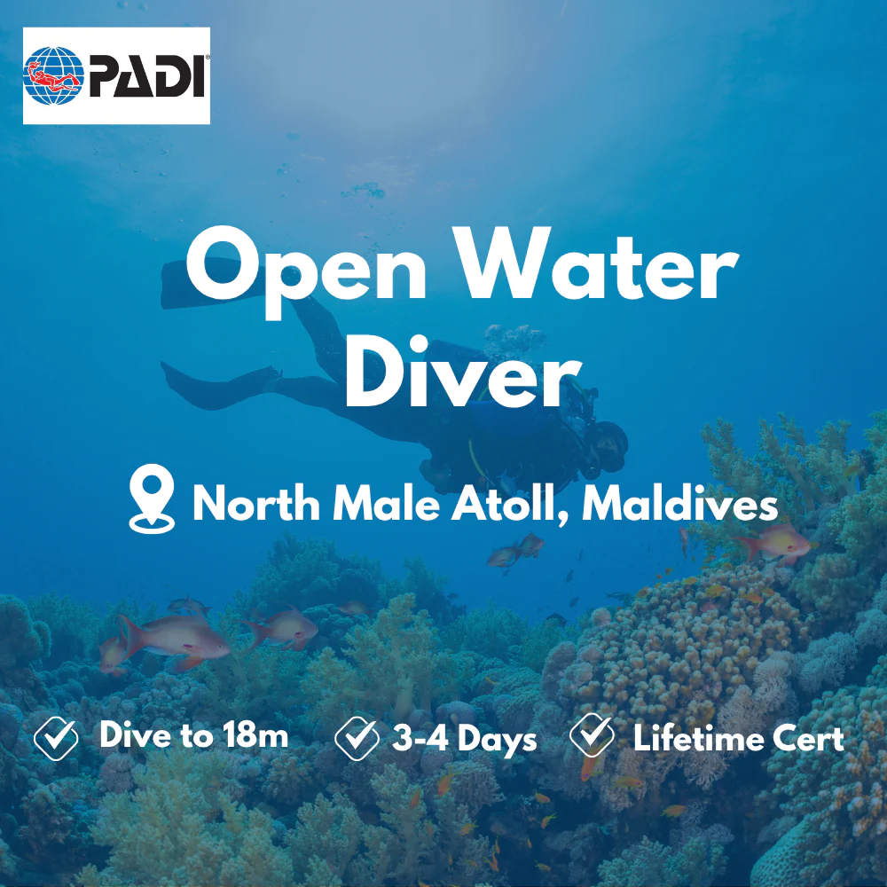 PADI Open Water Diver course in North Male Atoll