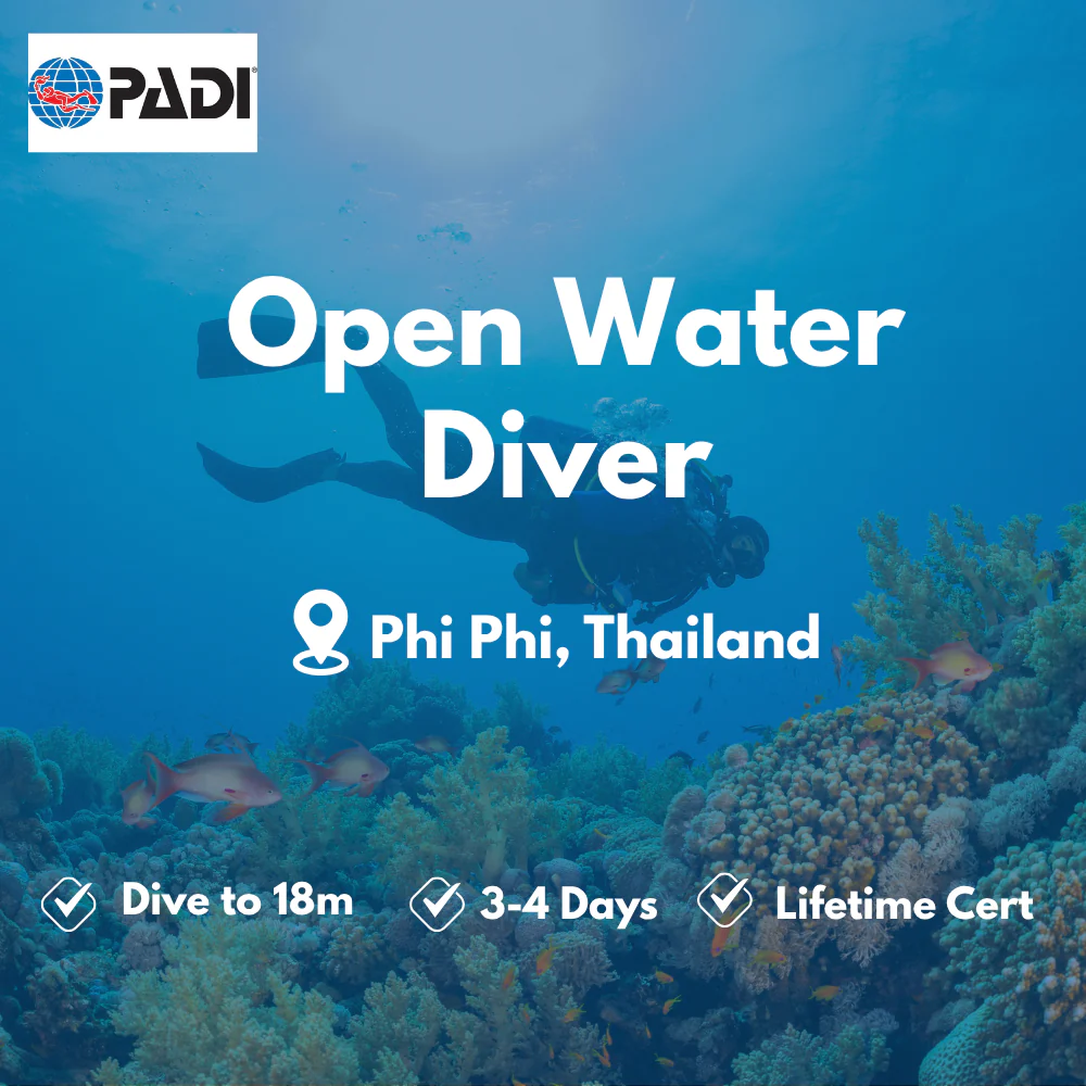 PADI Open Water Diver course in Phi Phi