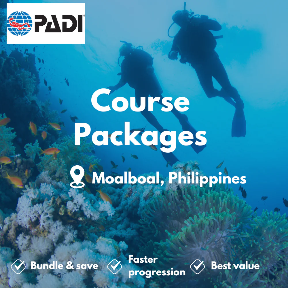 PADI Course Packages course in Moalboal