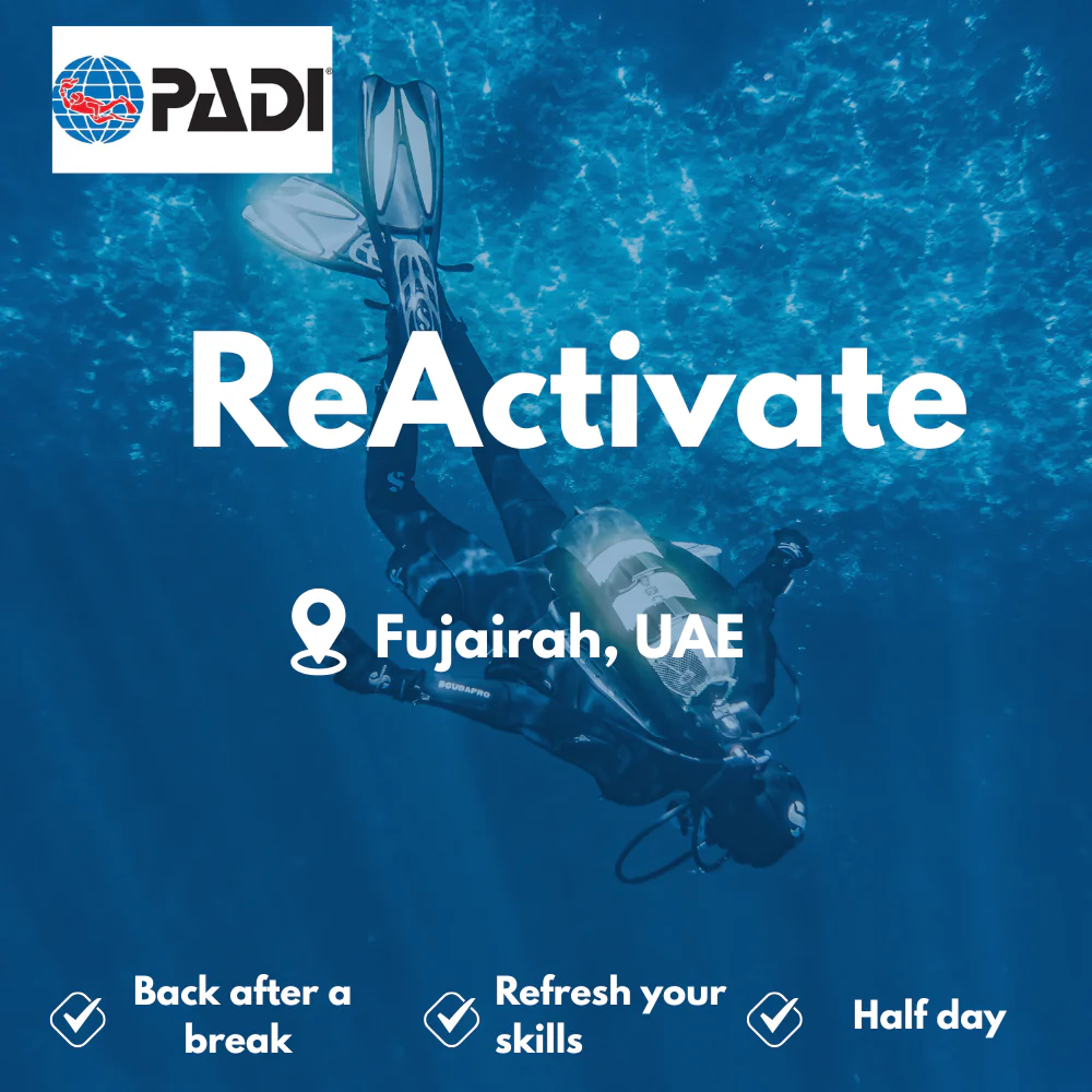 PADI Refresher / ReActivate course in Fujairah