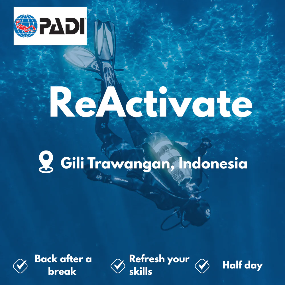 PADI Refresher / ReActivate course in Gili Trawangan
