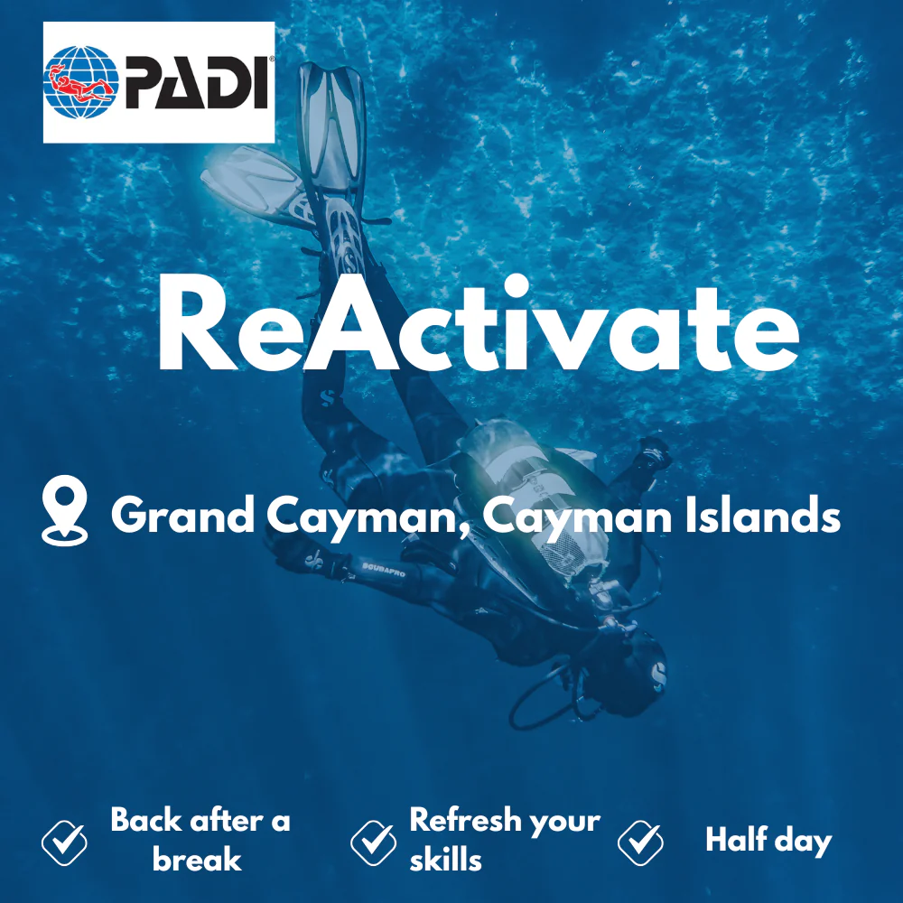 PADI Refresher / ReActivate course in Grand Cayman