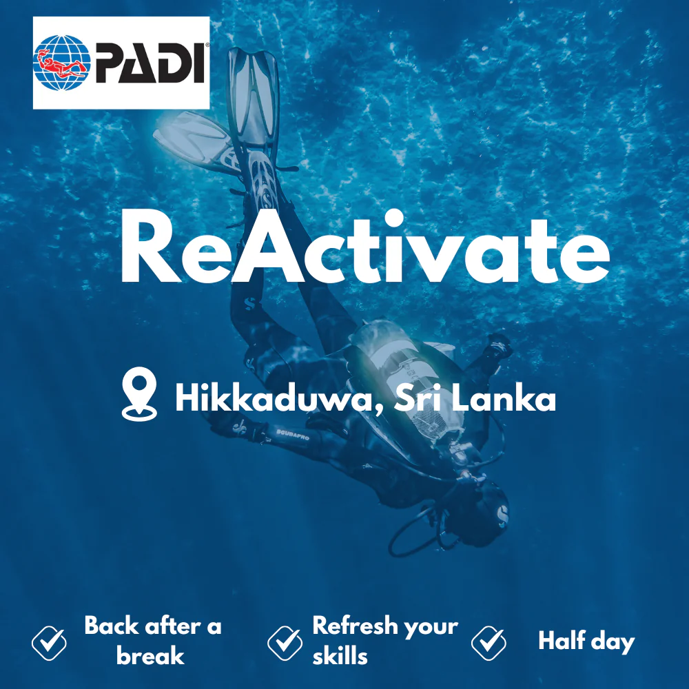 PADI Refresher / ReActivate course in Hikkaduwa
