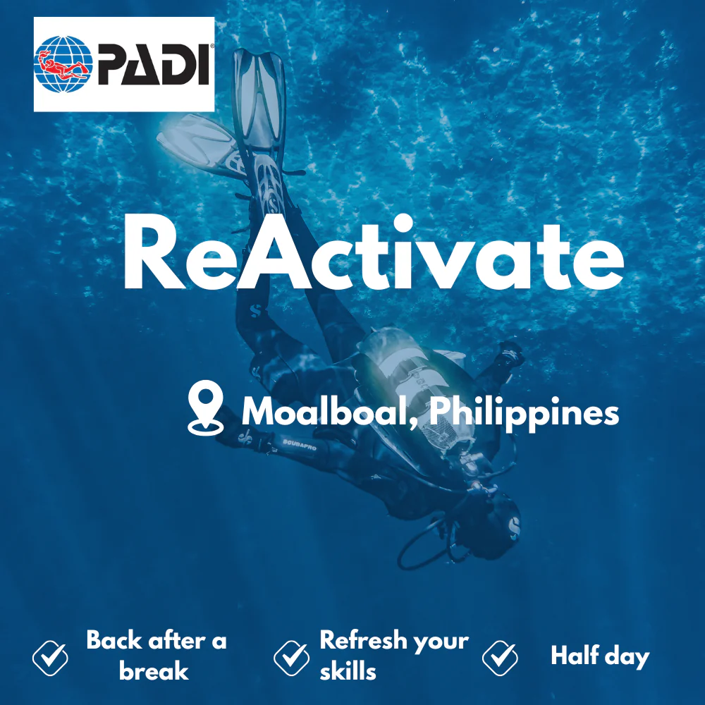 PADI Refresher / ReActivate course in Moalboal