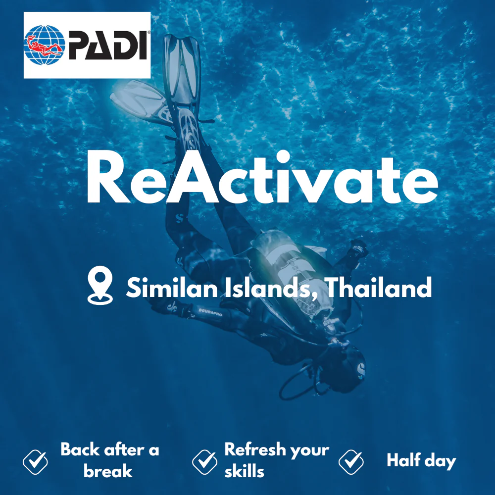 PADI Refresher / ReActivate course in Similan Islands