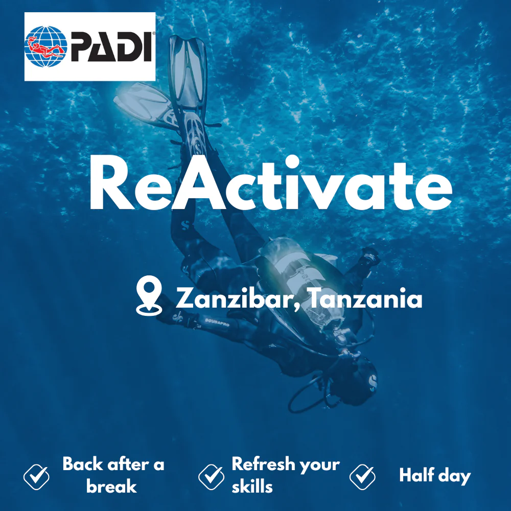 PADI Refresher / ReActivate course in Zanzibar