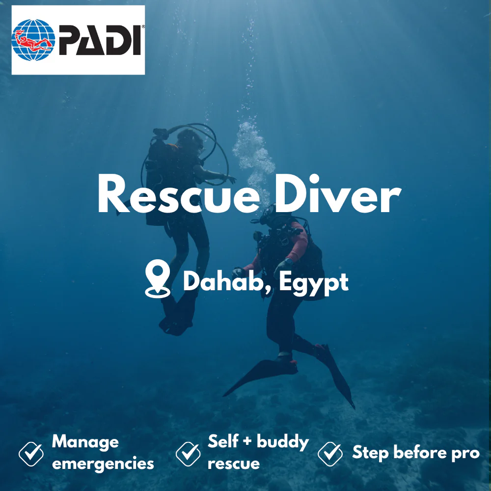 PADI Rescue Diver course in Dahab