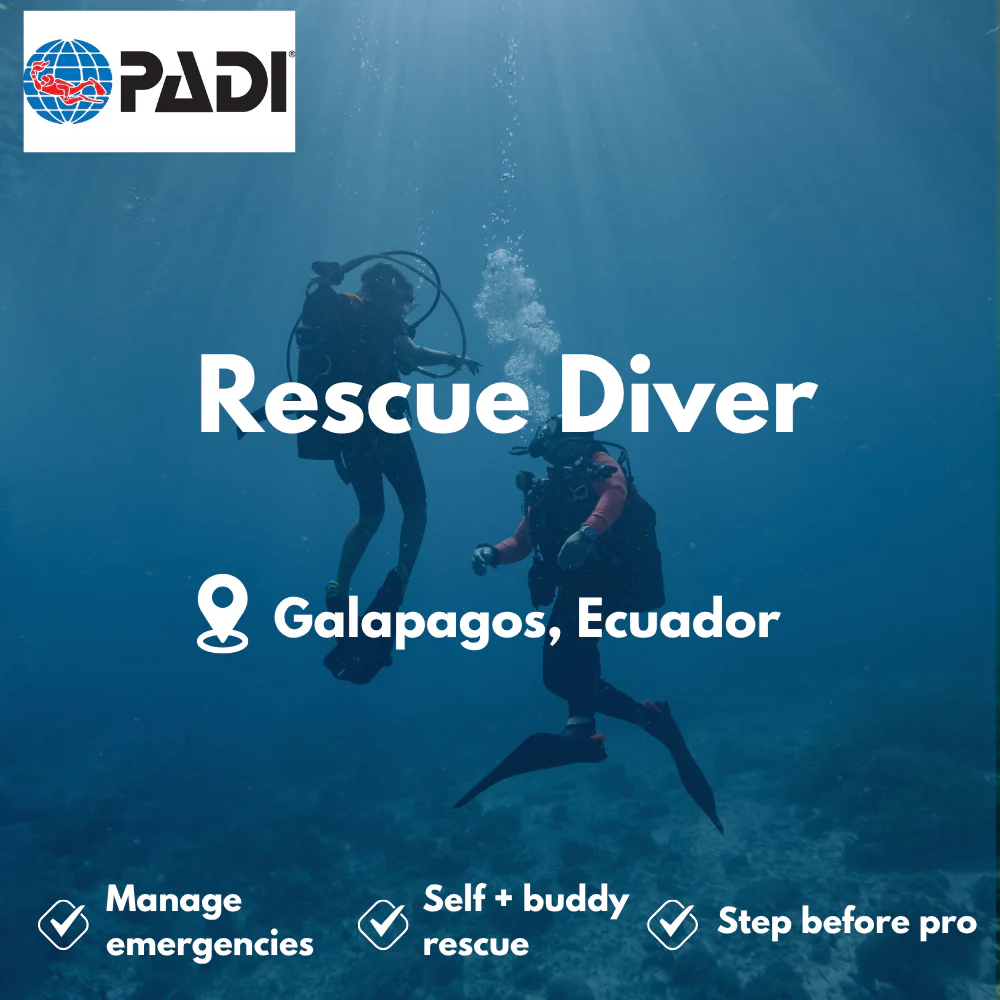PADI Rescue Diver course in Galapagos