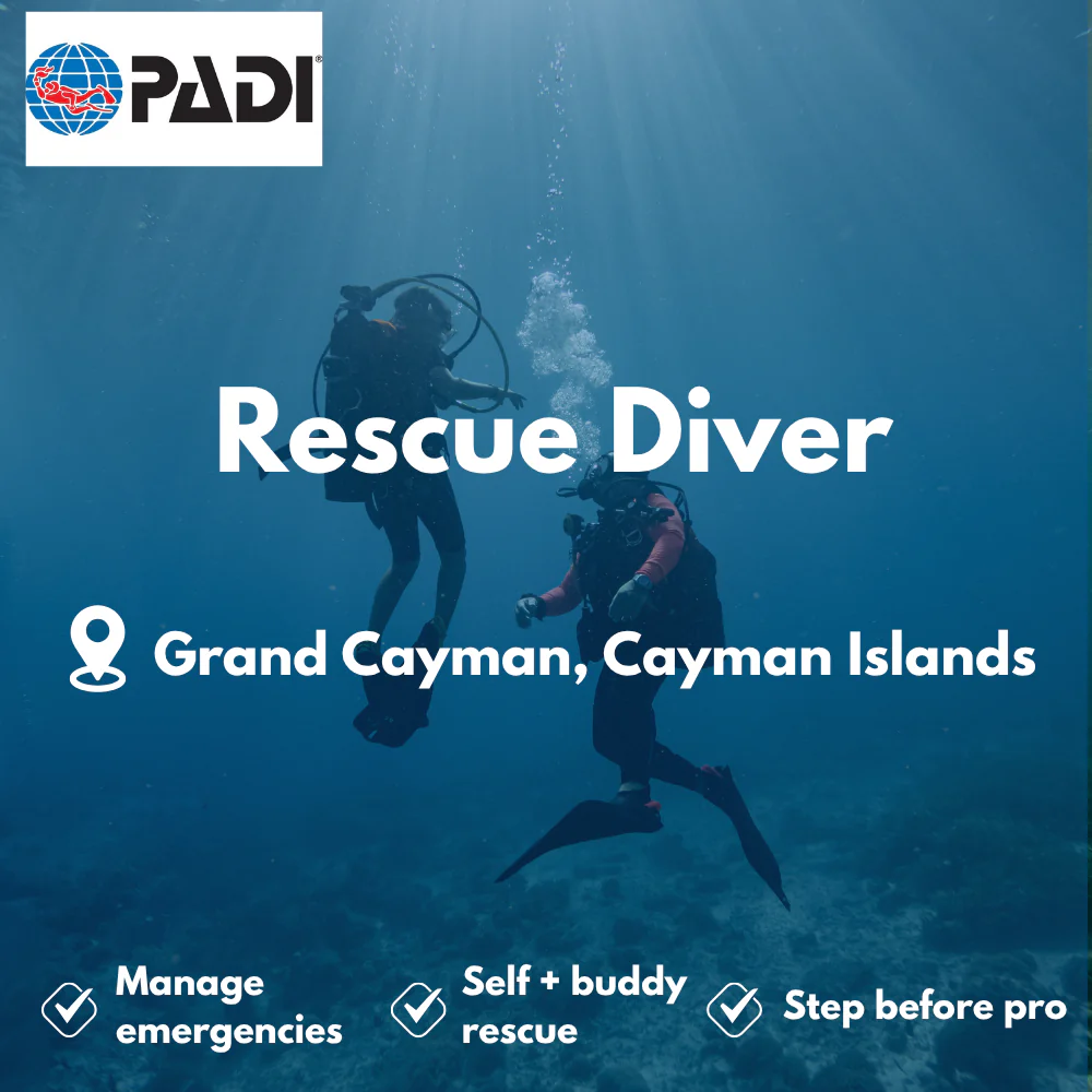 PADI Rescue Diver course in Grand Cayman