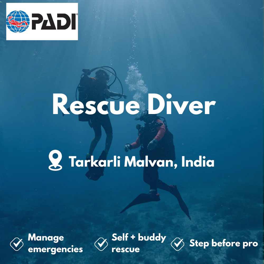 PADI Rescue Diver course in Tarkarli Malvan