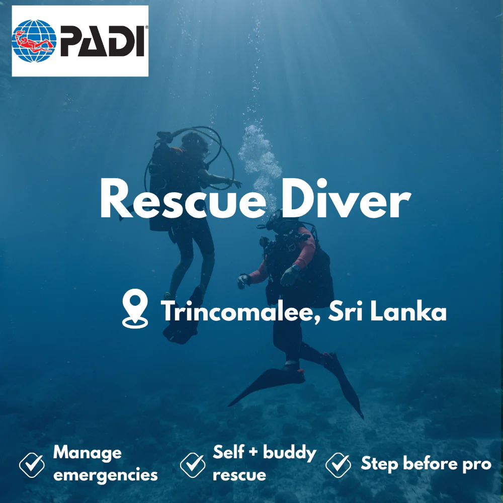 PADI Rescue Diver course in Trincomalee